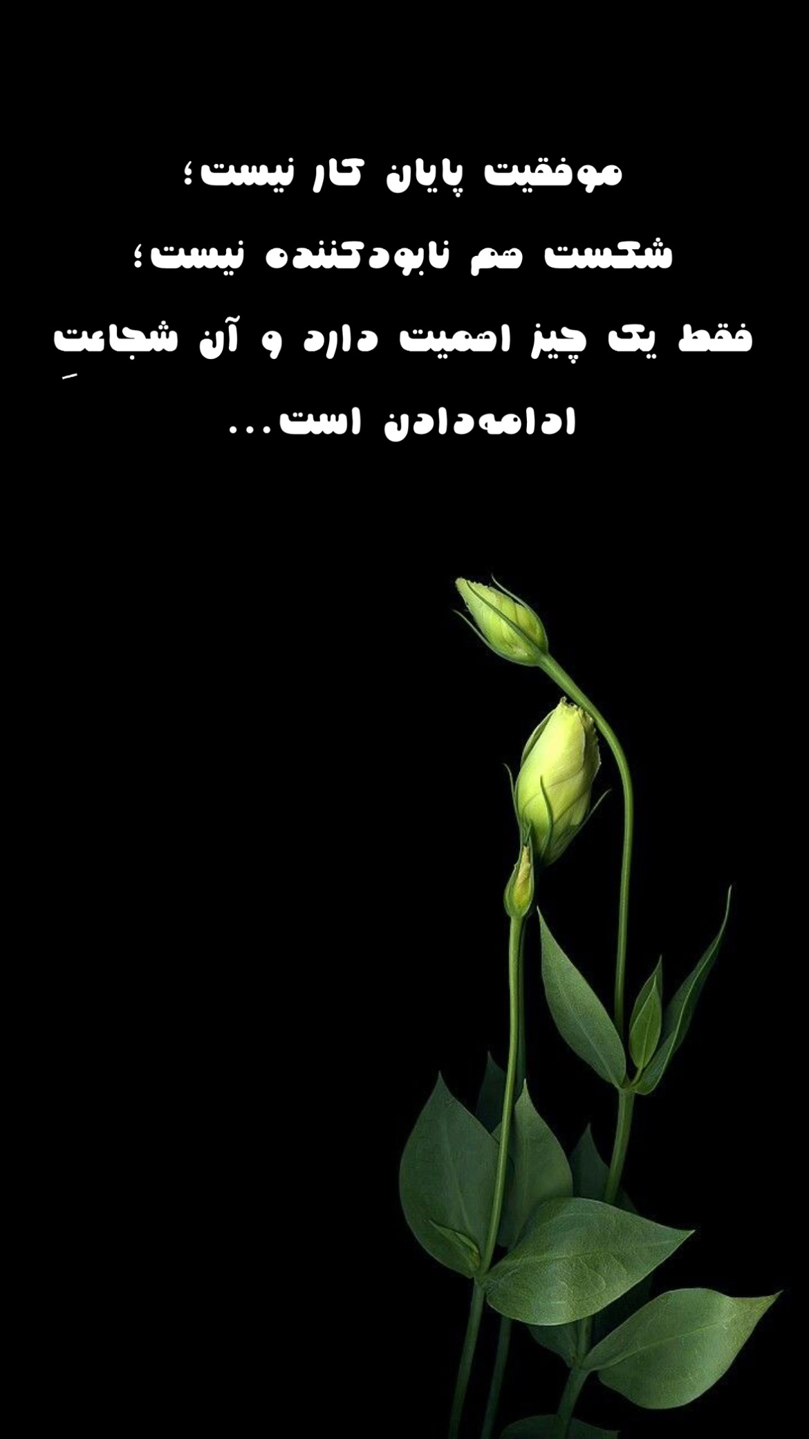 انگیزشی317