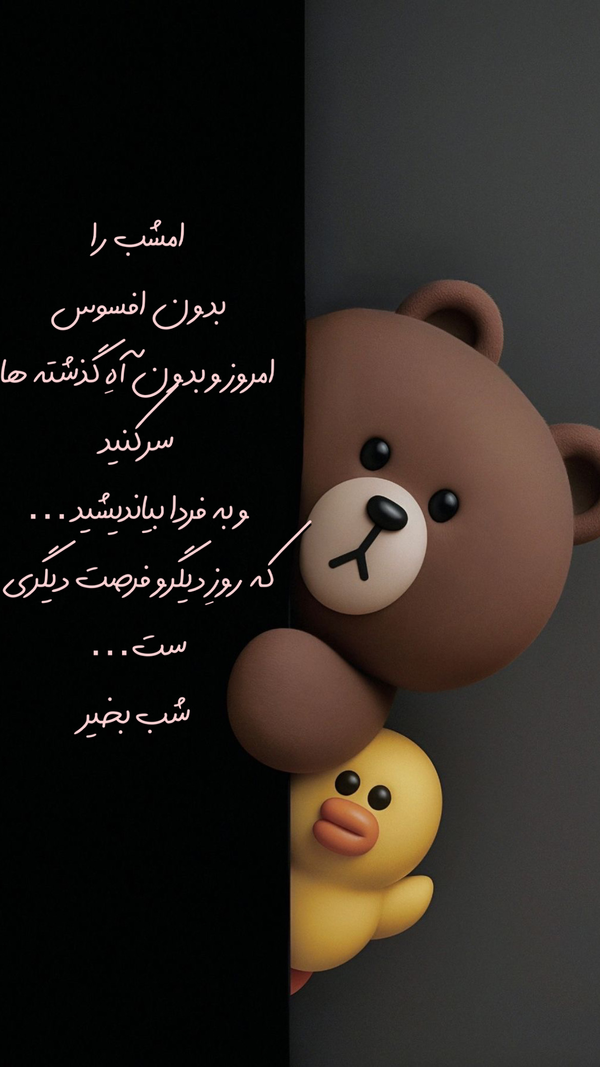 شب بخیر21