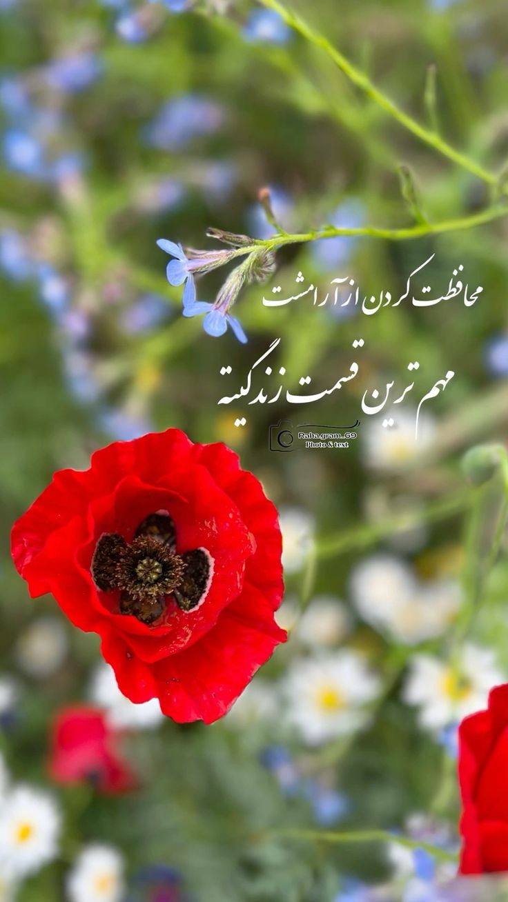 انگیزشی220