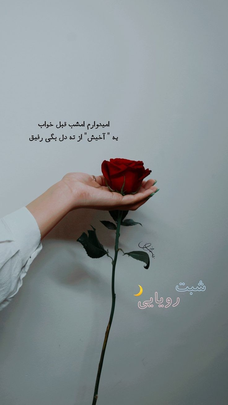 شب بخیر32