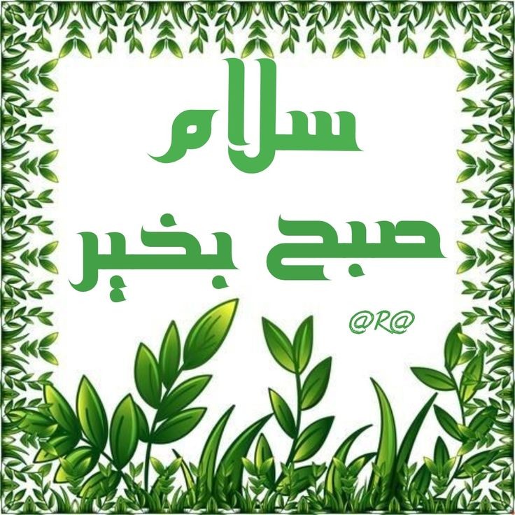 صبح بخیر210