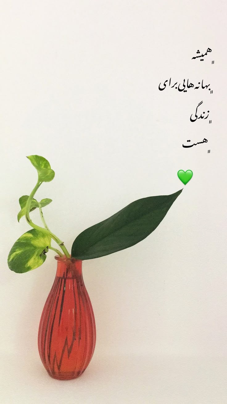 انگیزشی208