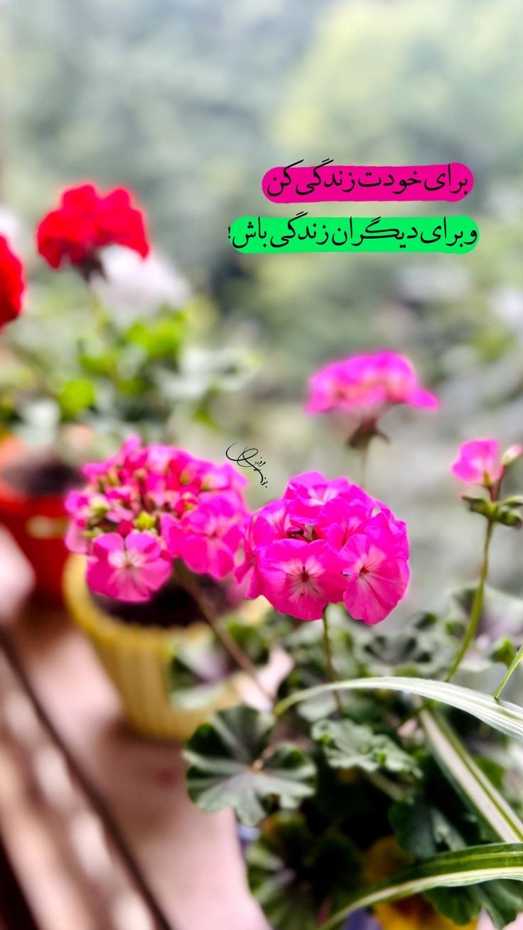 انگیزشی215
