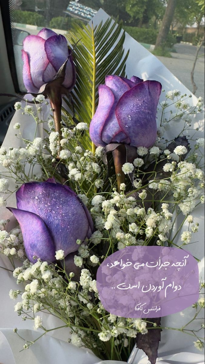 انگیزشی227