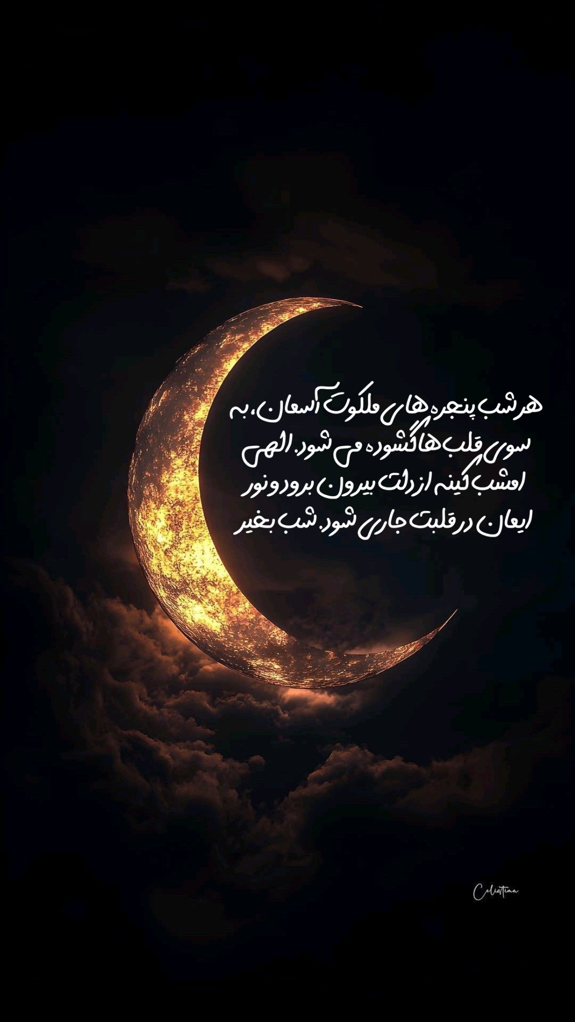 شب بخیر13