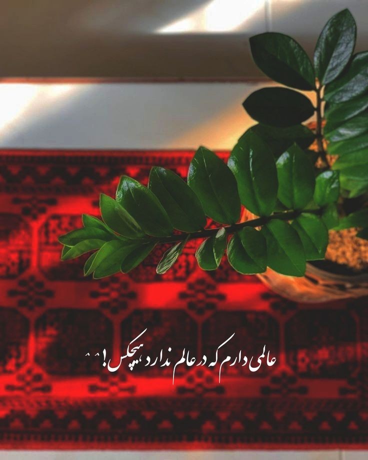 انگیزشی206