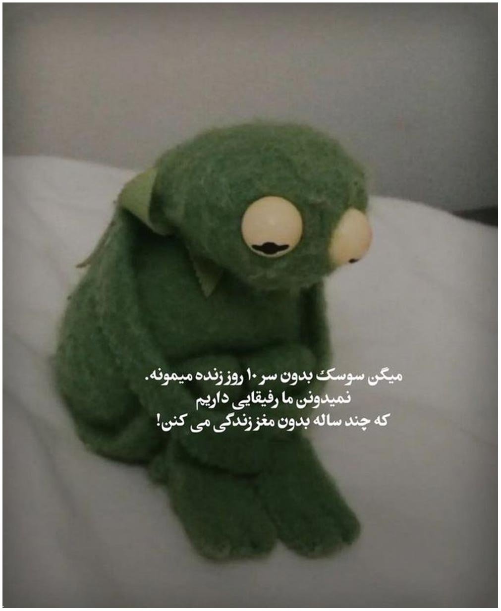 طنز204