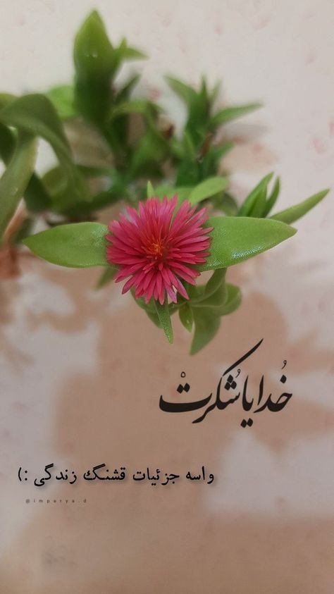 خدا54