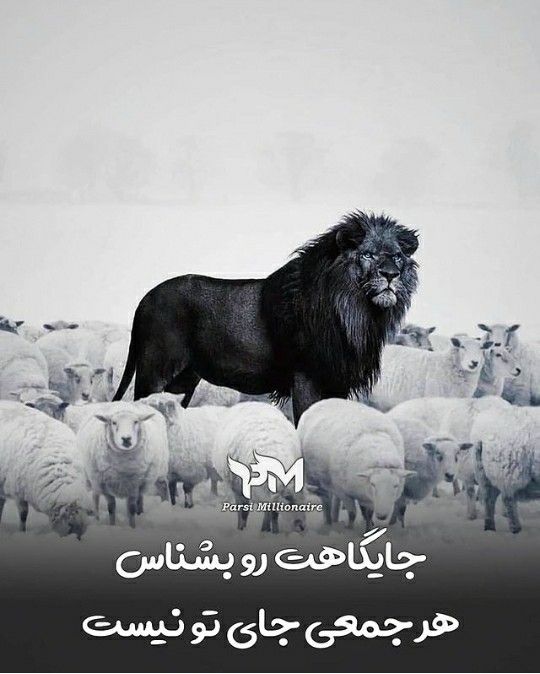 انگیزشی284