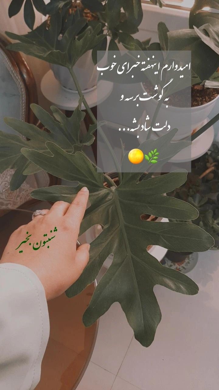 شب بخیر72