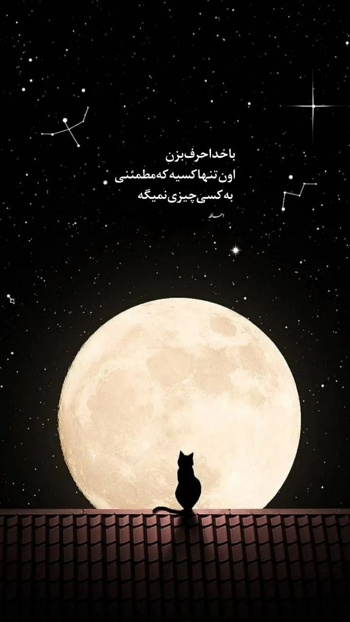 شب بخیر58