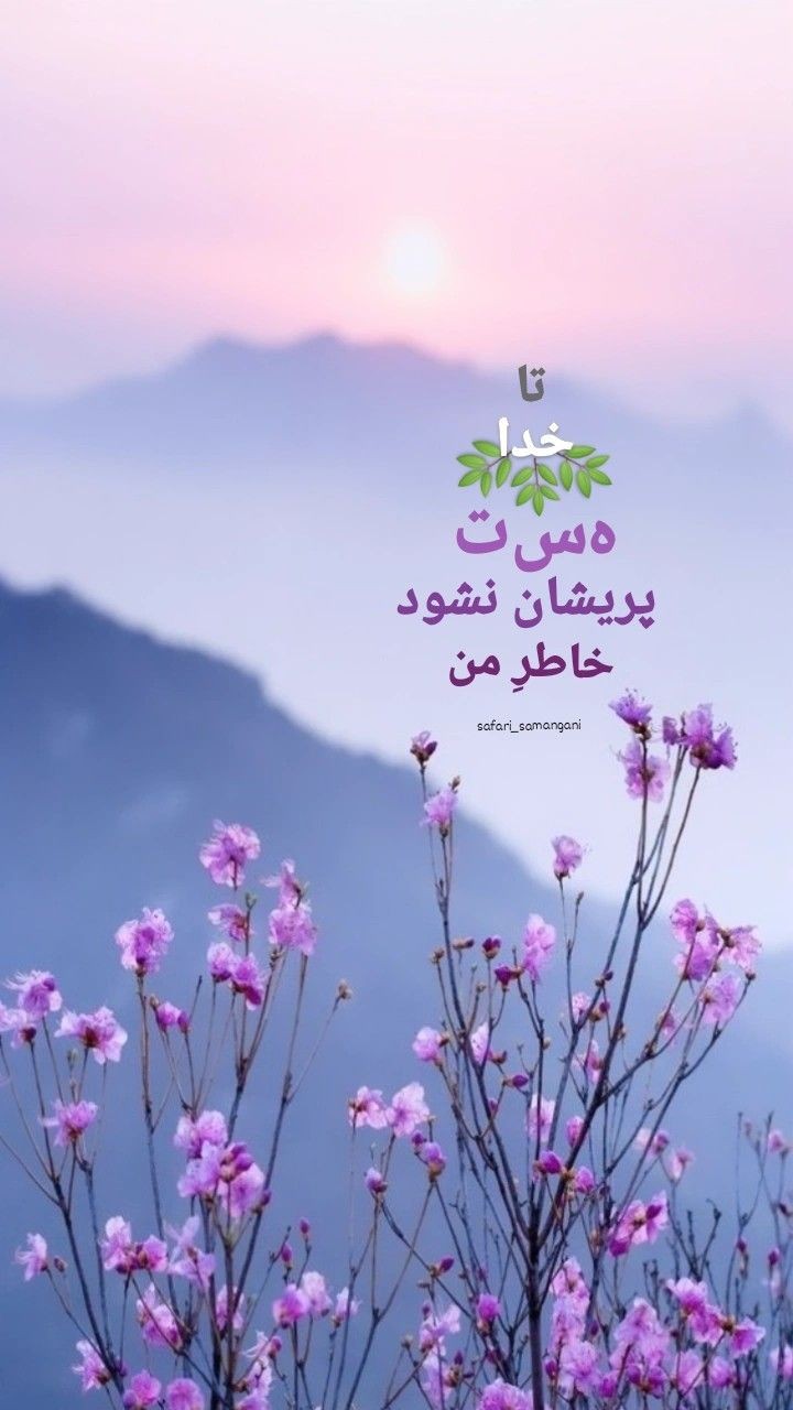 خدا50