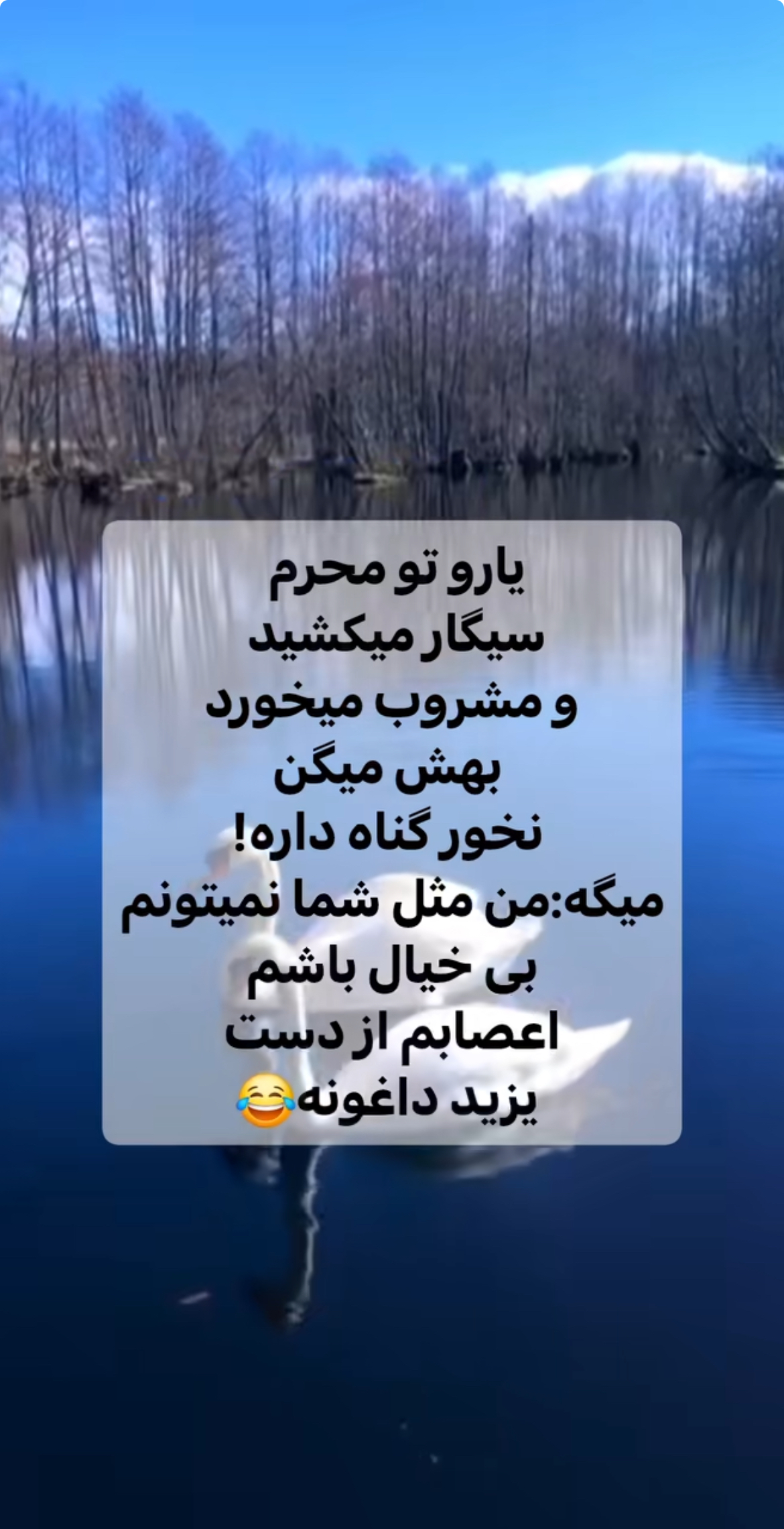 طنز19