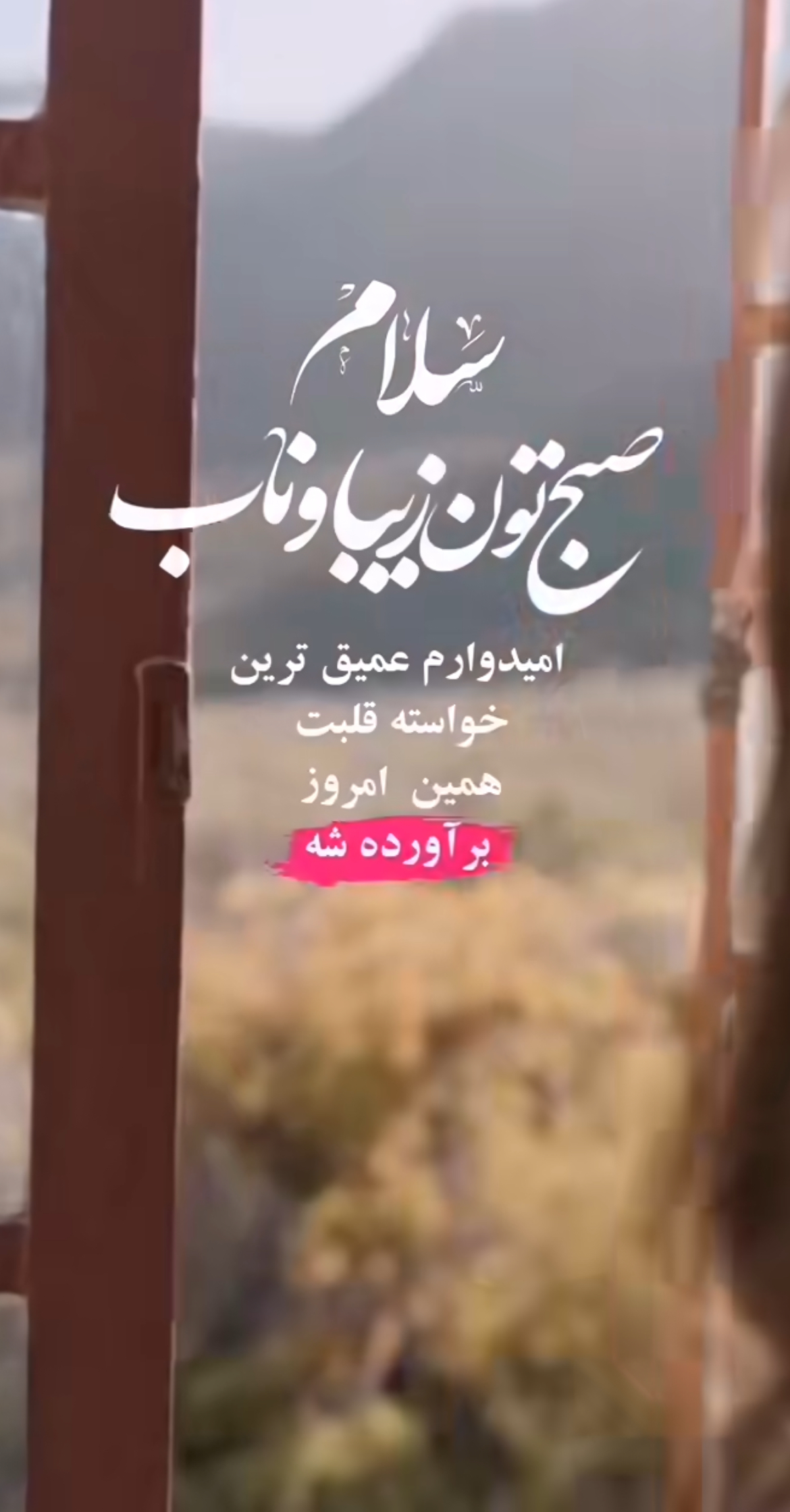 صبح بخیر304