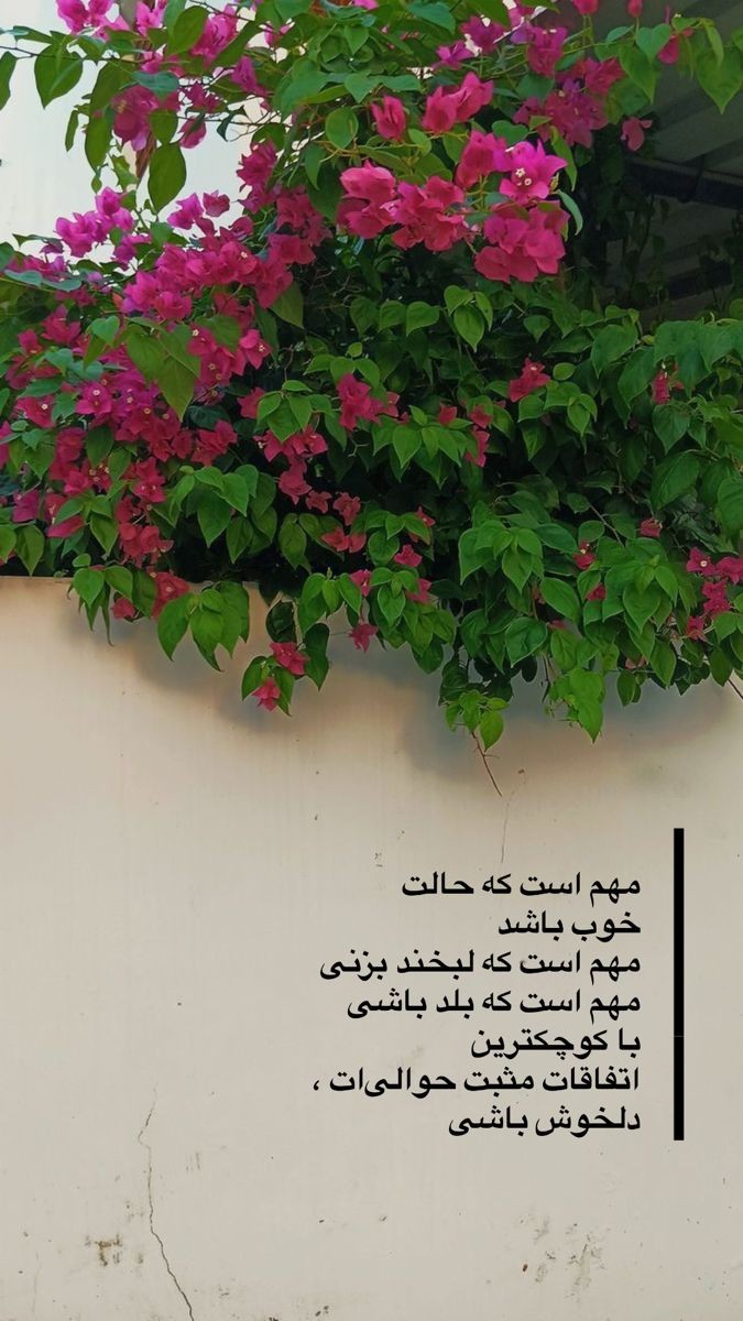 انگیزشی216