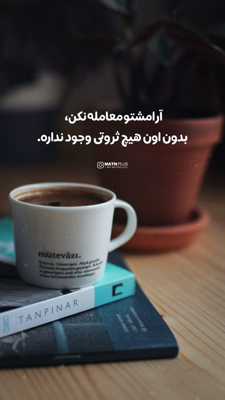 انگیزشی264