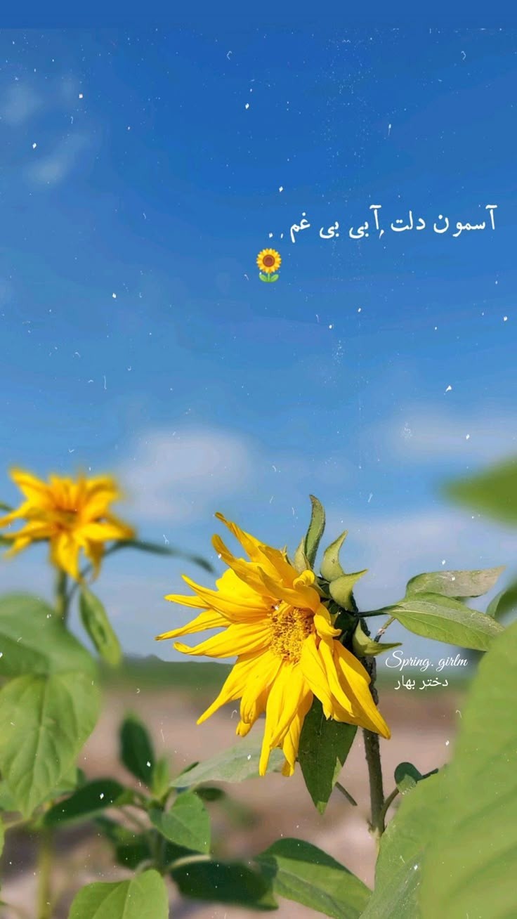 انگیزشی231