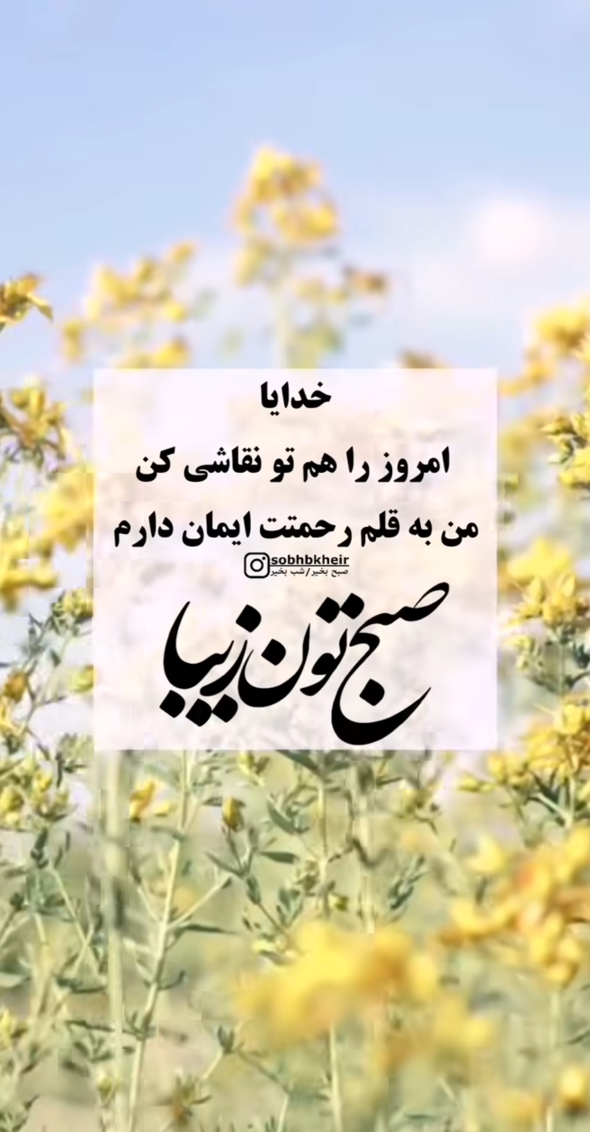 صبح بخیر307