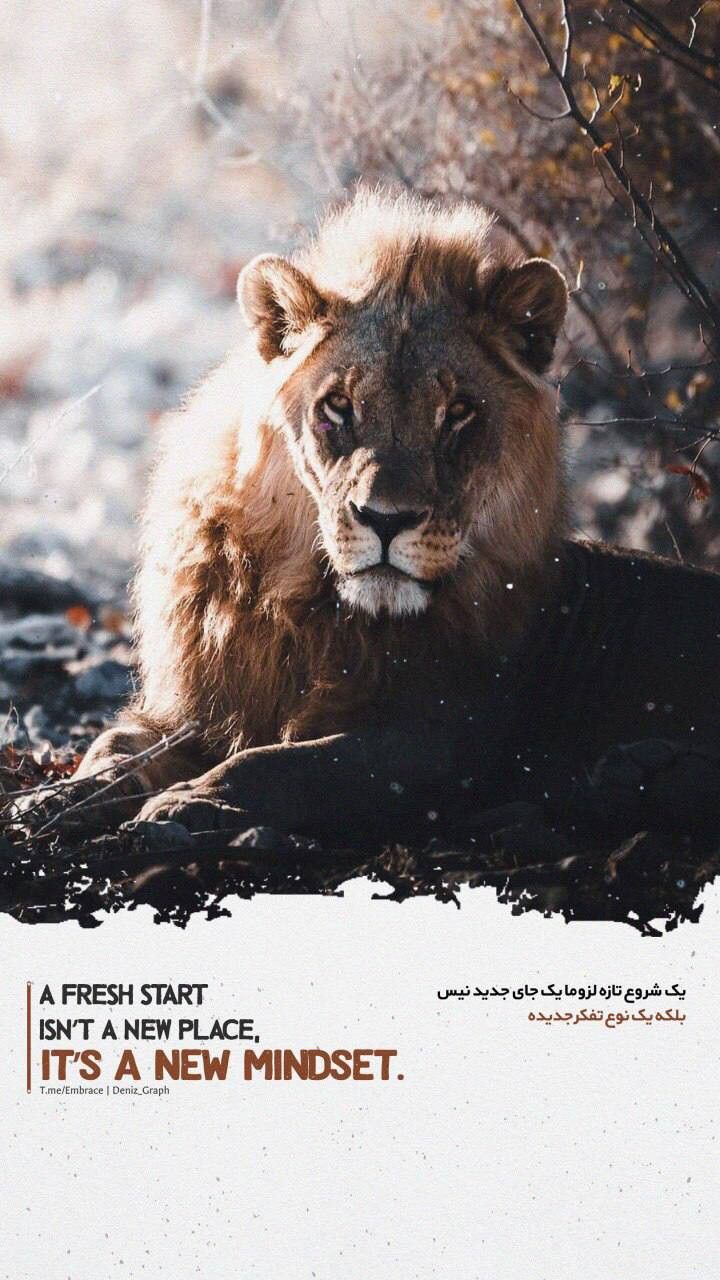 انگیزشی286