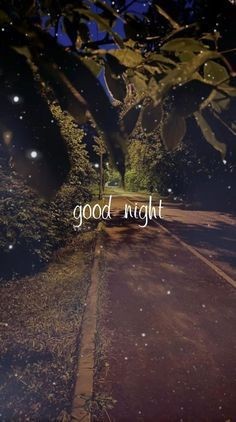 شب بخیر35