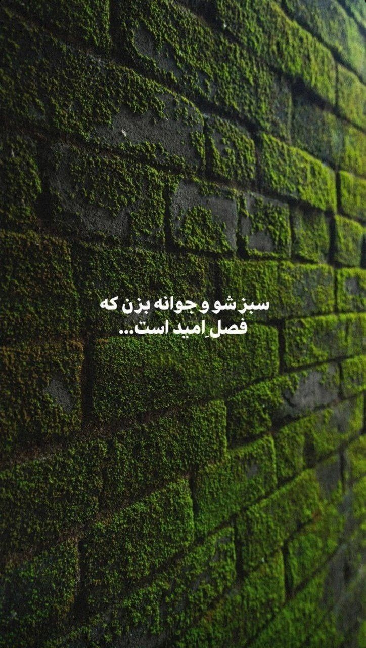 انگیزشی۲۵۶