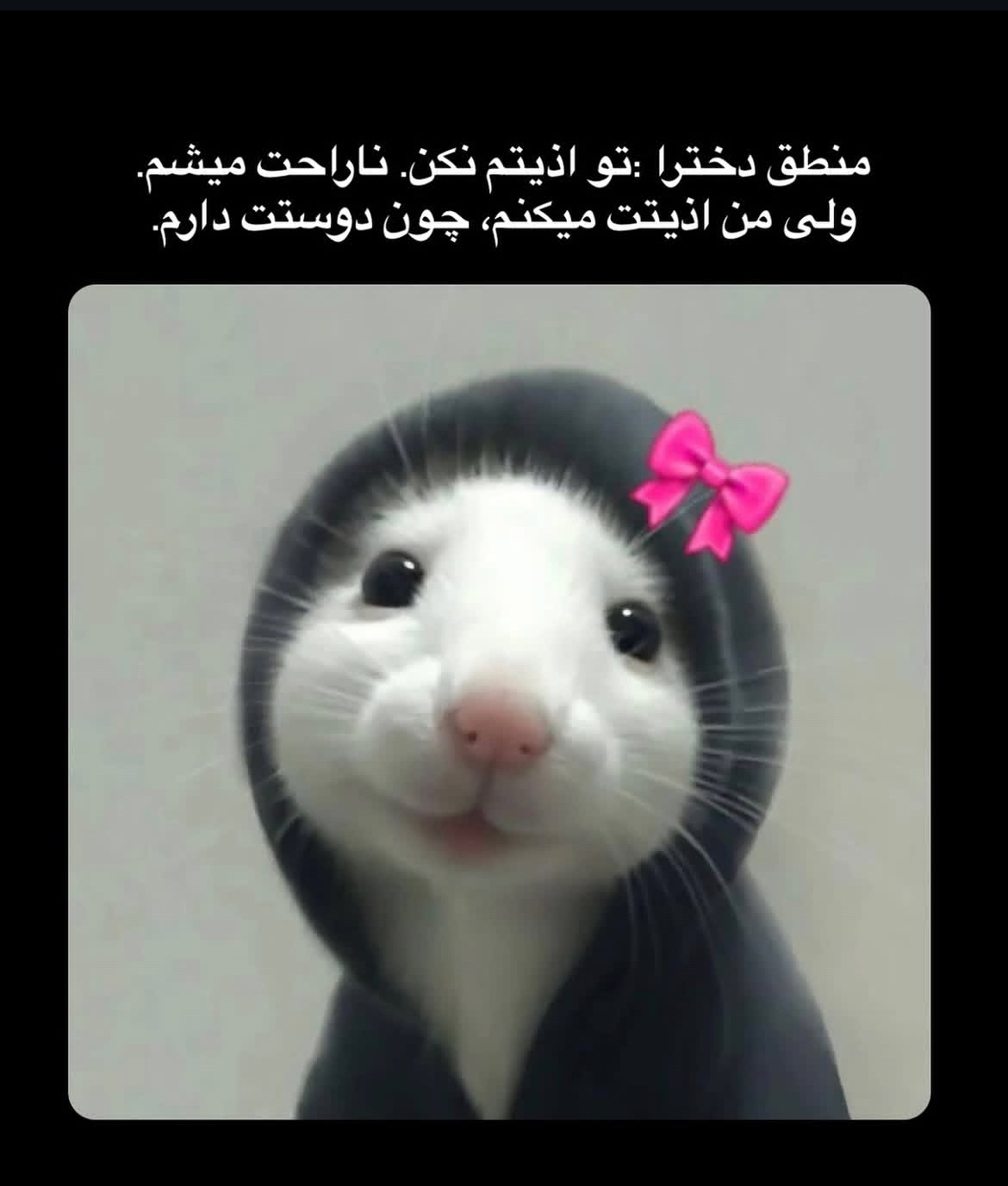 طنز55