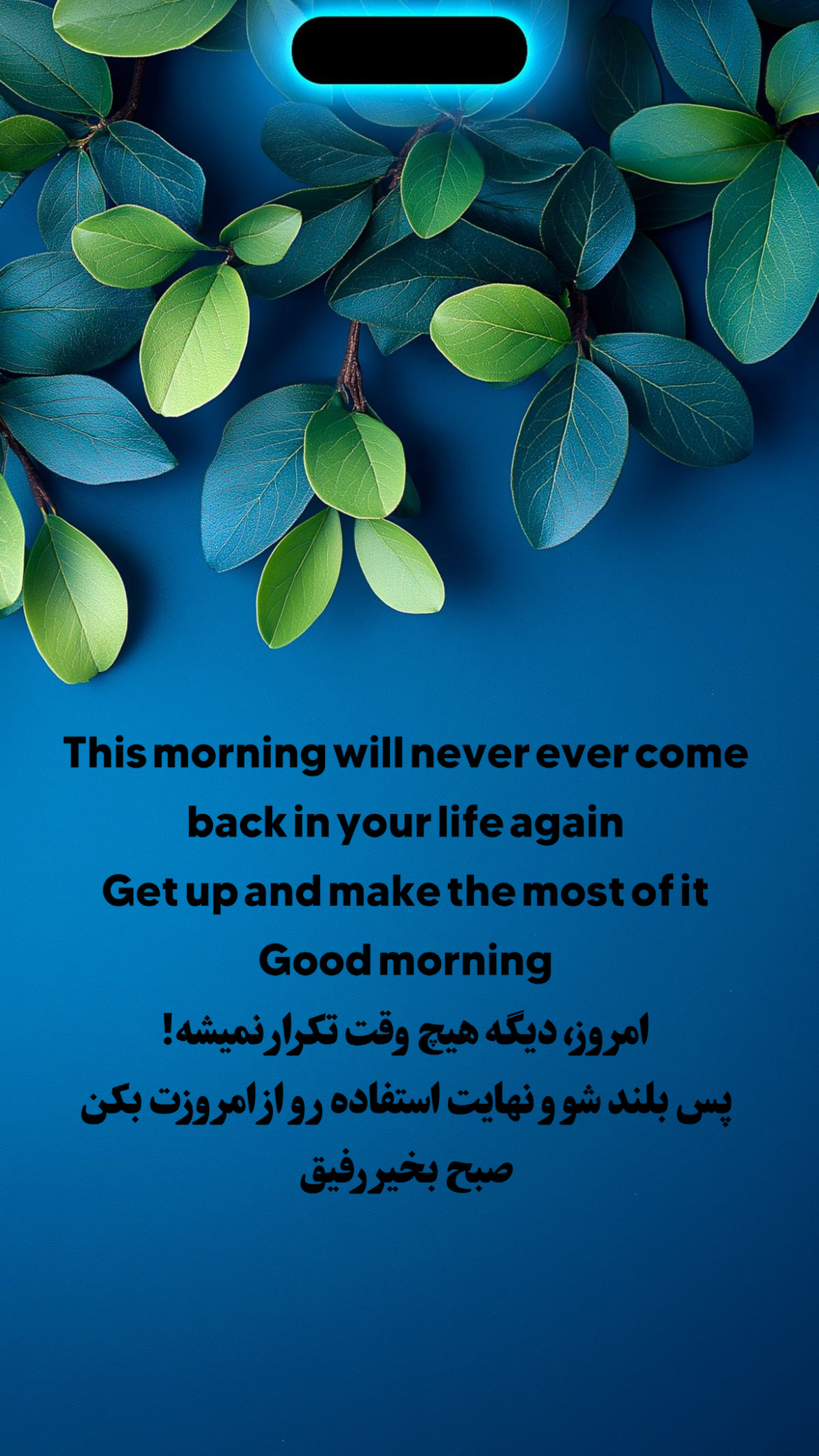 صبح بخیر289
