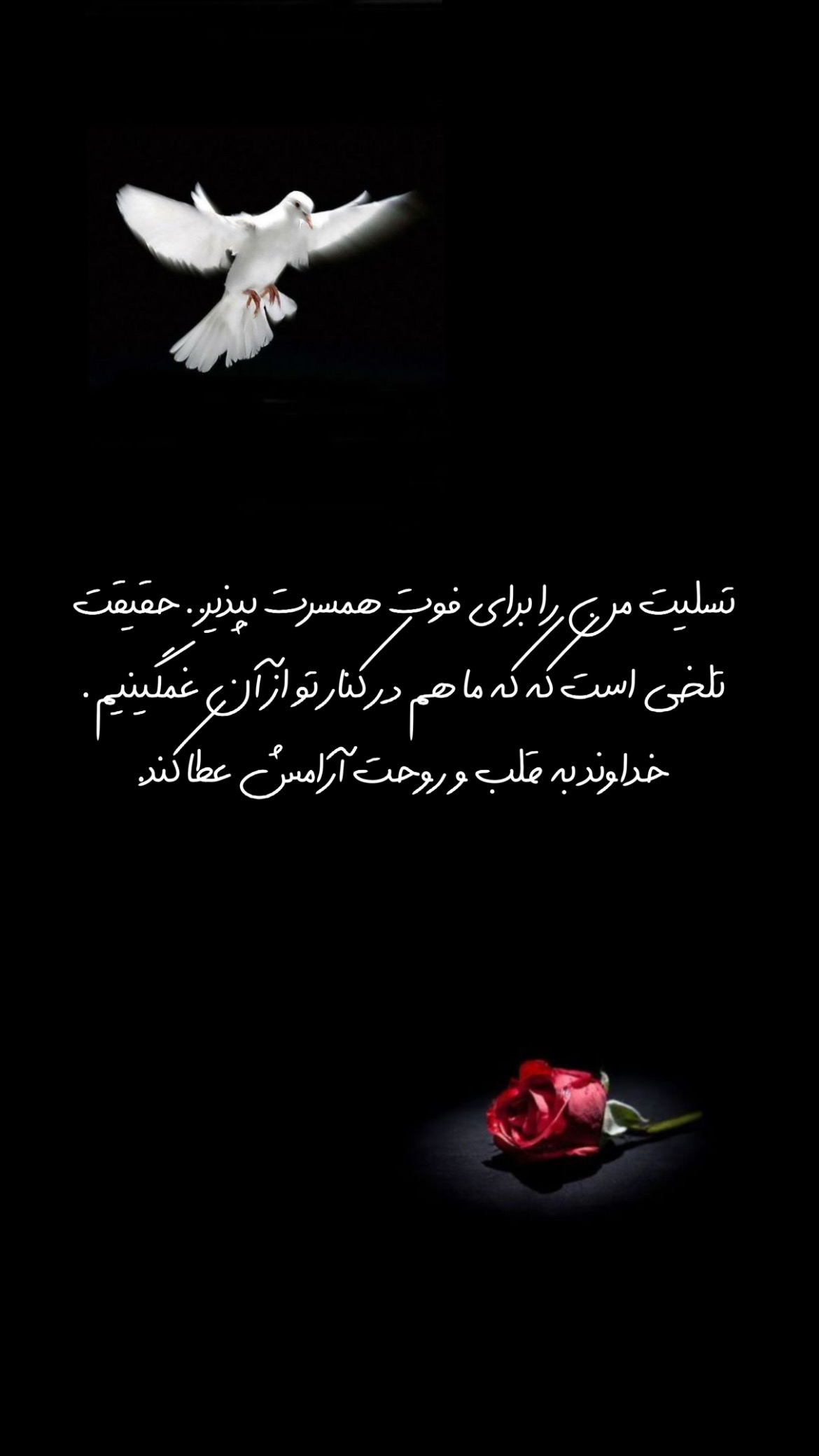 شب بخیر3