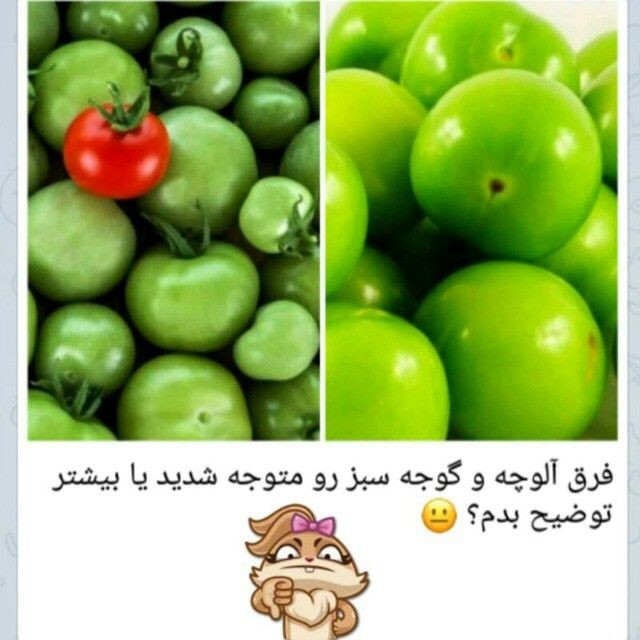طنز131