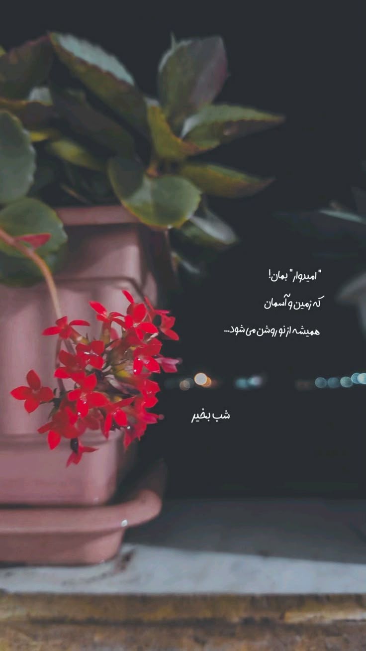 شب بخیر57