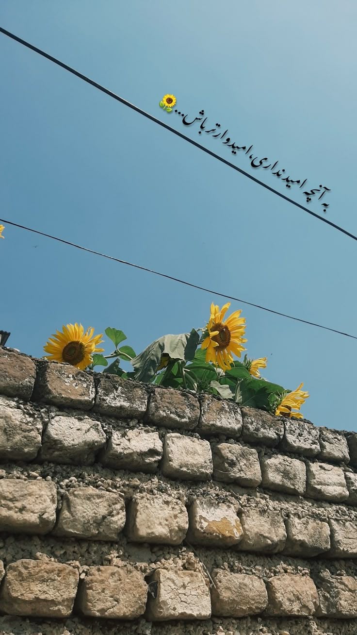 انگیزشی211