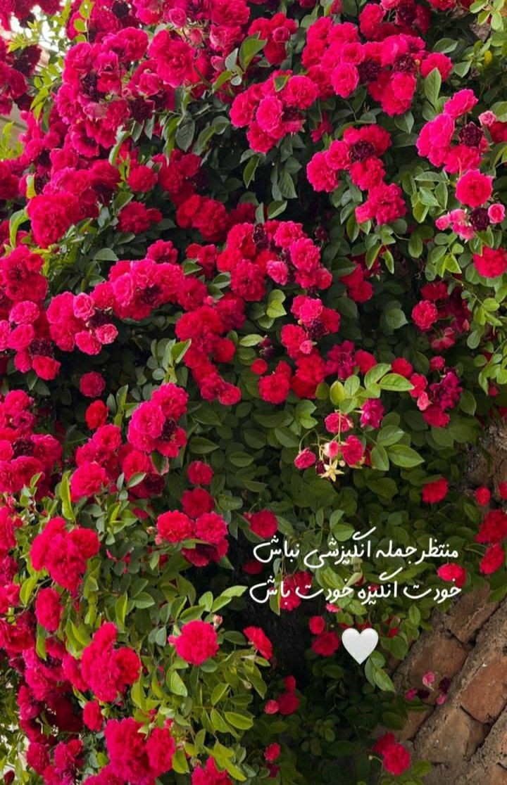 انگیزشی222