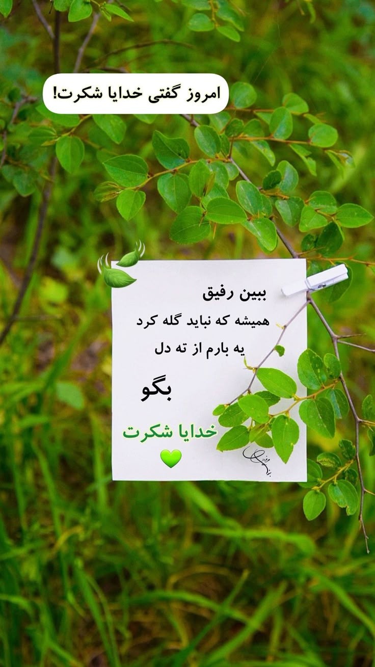 خدا23