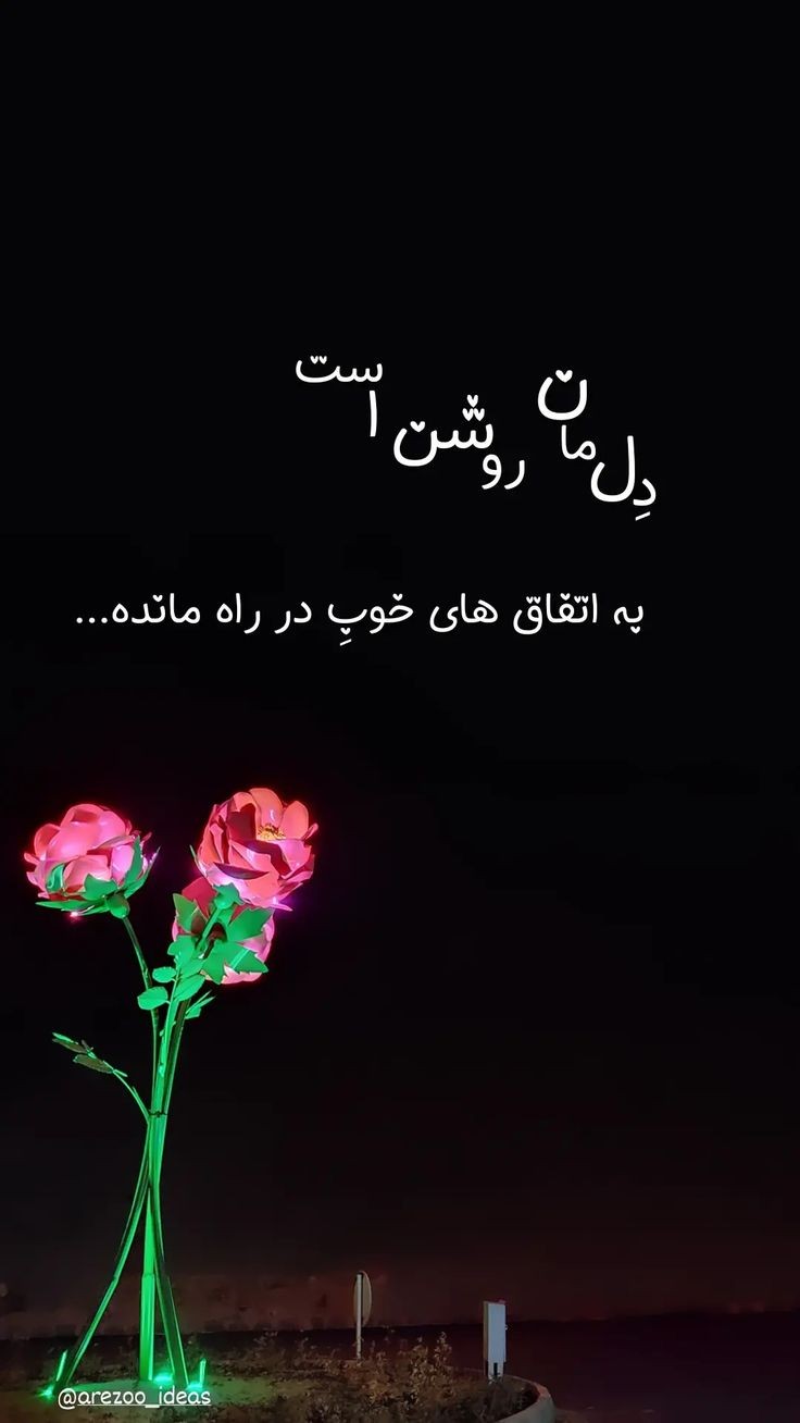 شب بخیر65