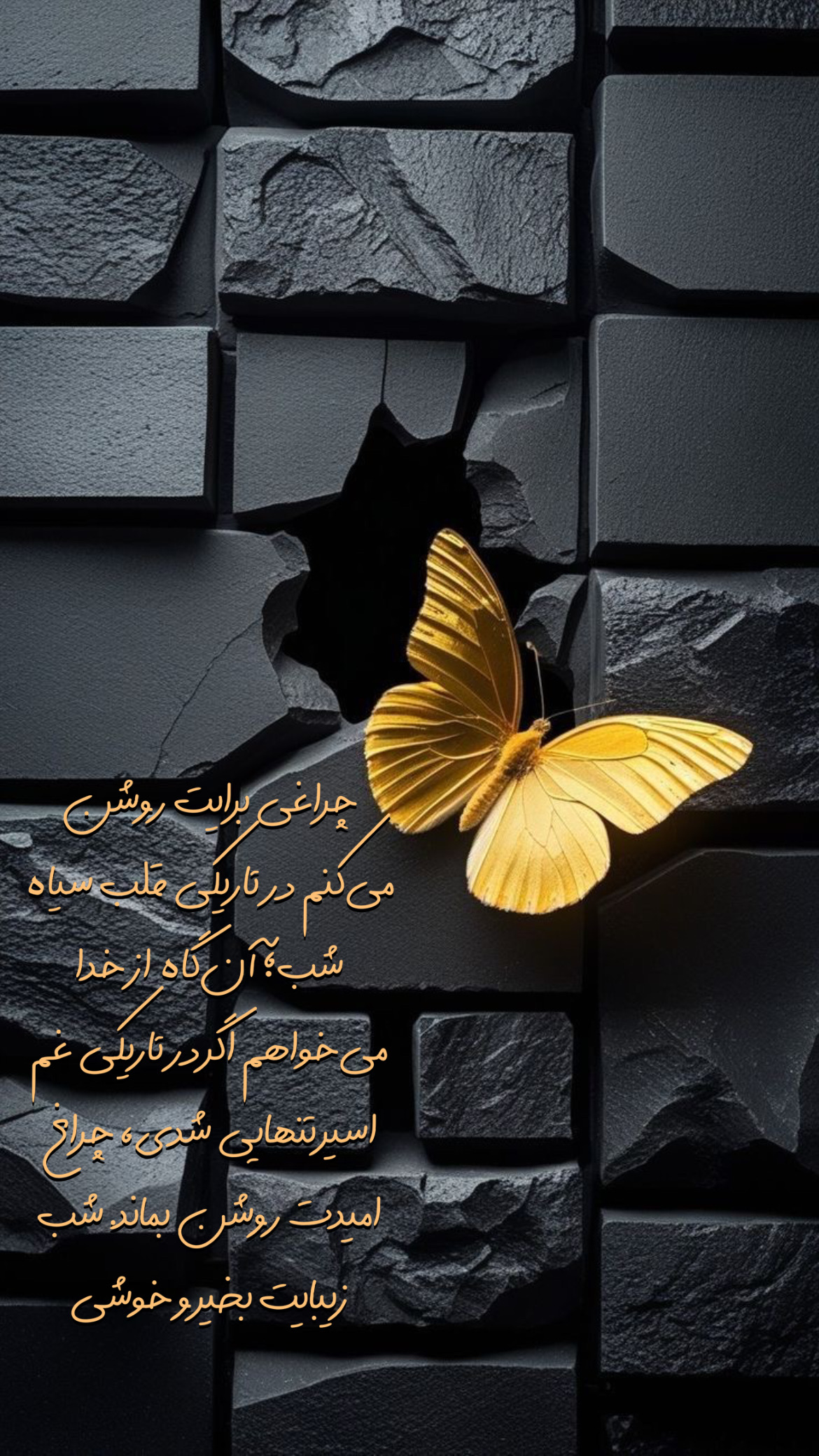 شب بخیر22