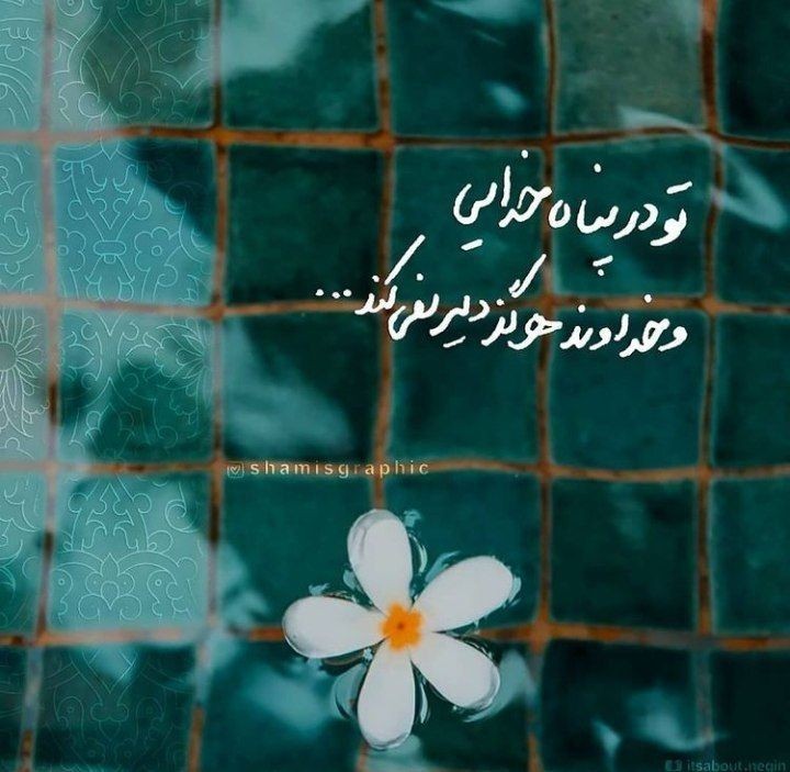خدا24