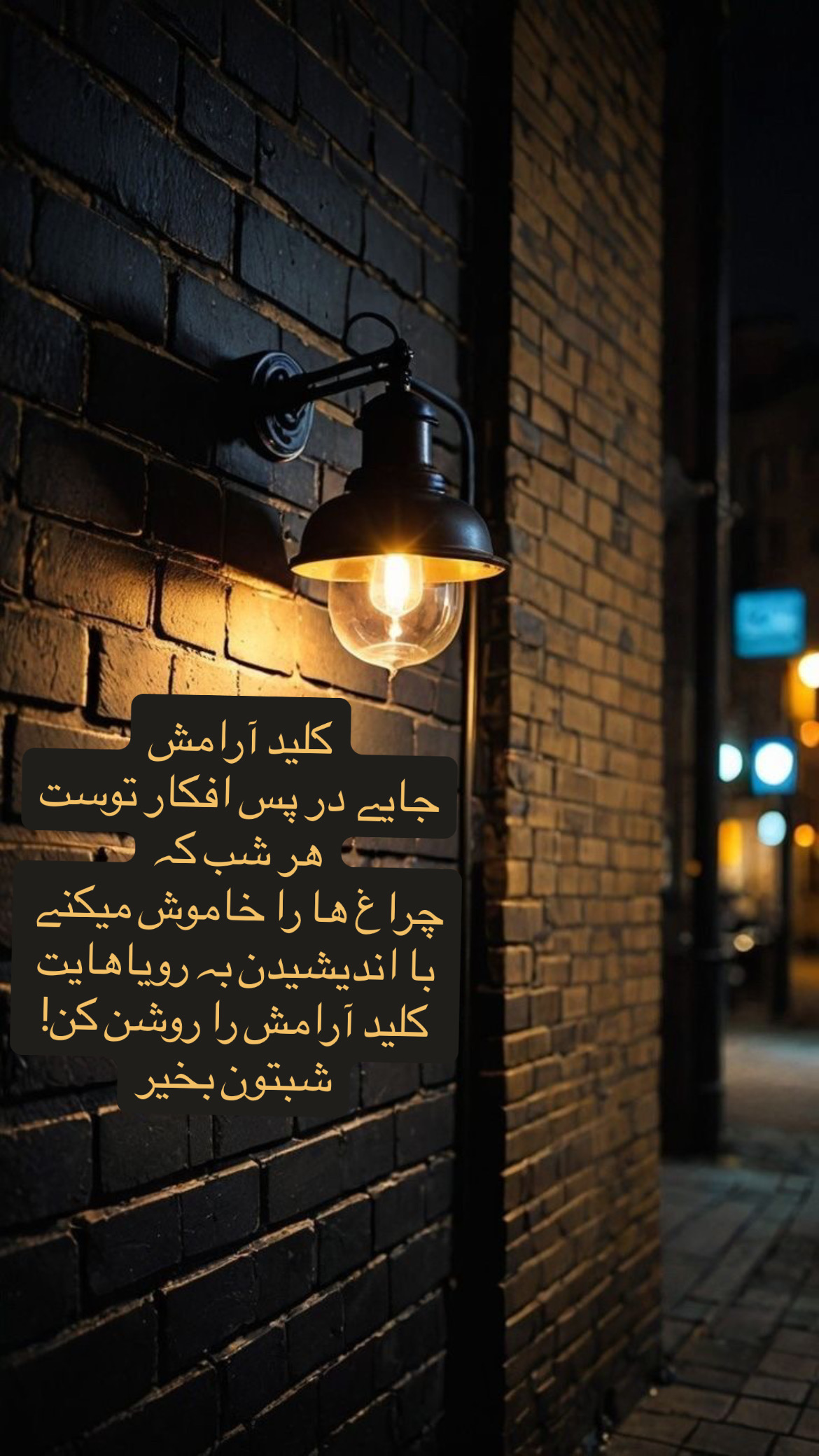 شب بخیر17