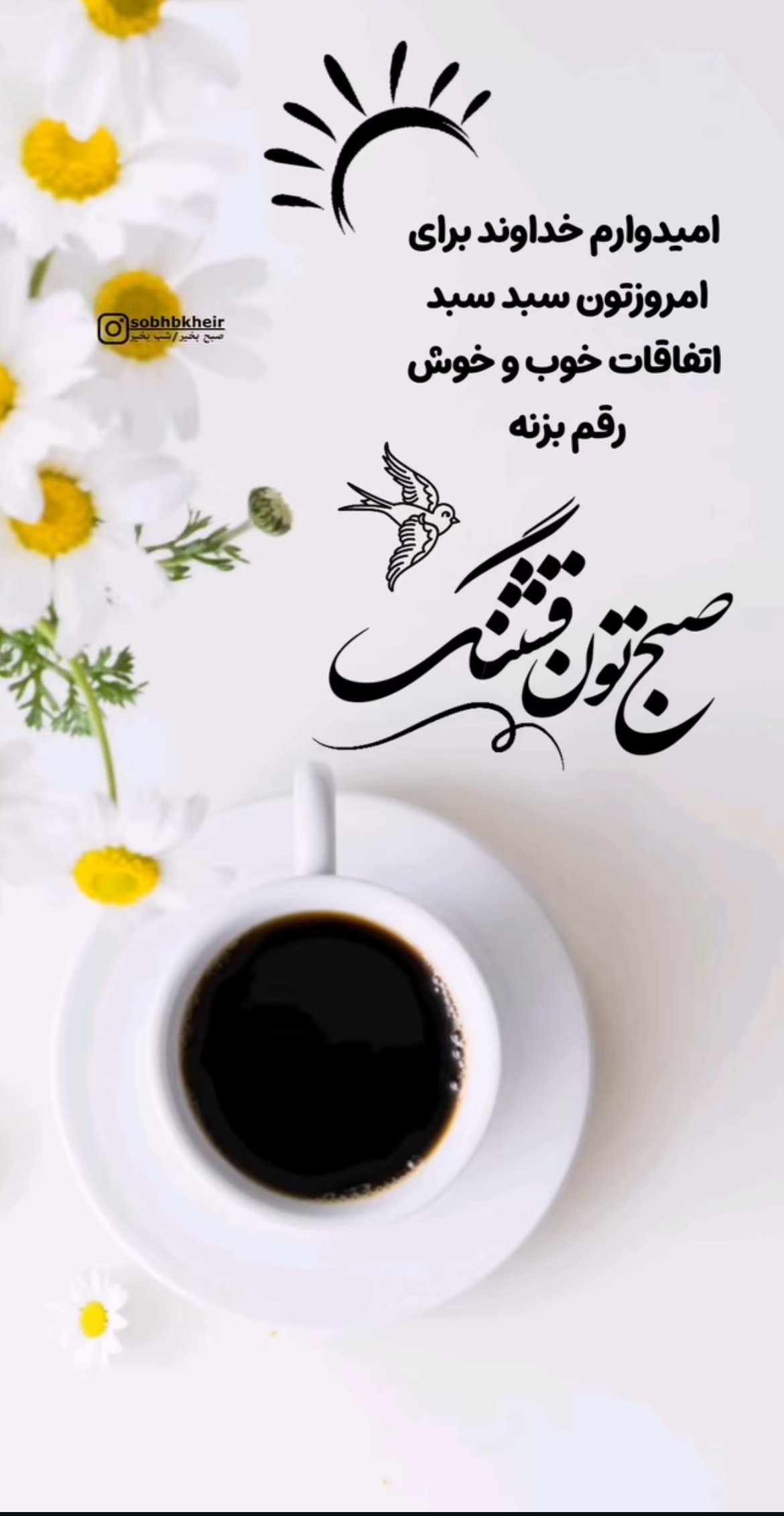 صبح بخیر305