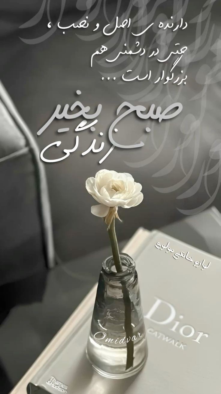 صبح بخیر263