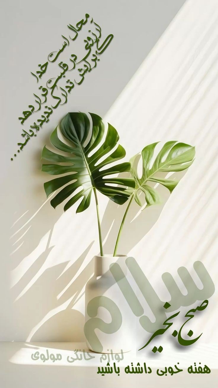صبح بخیر257