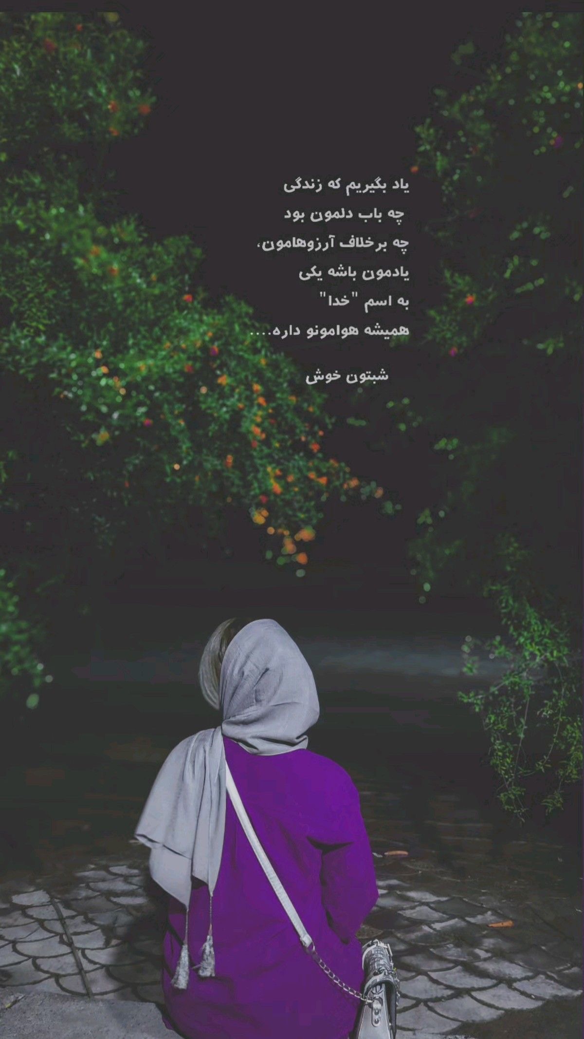 شب بخیر28