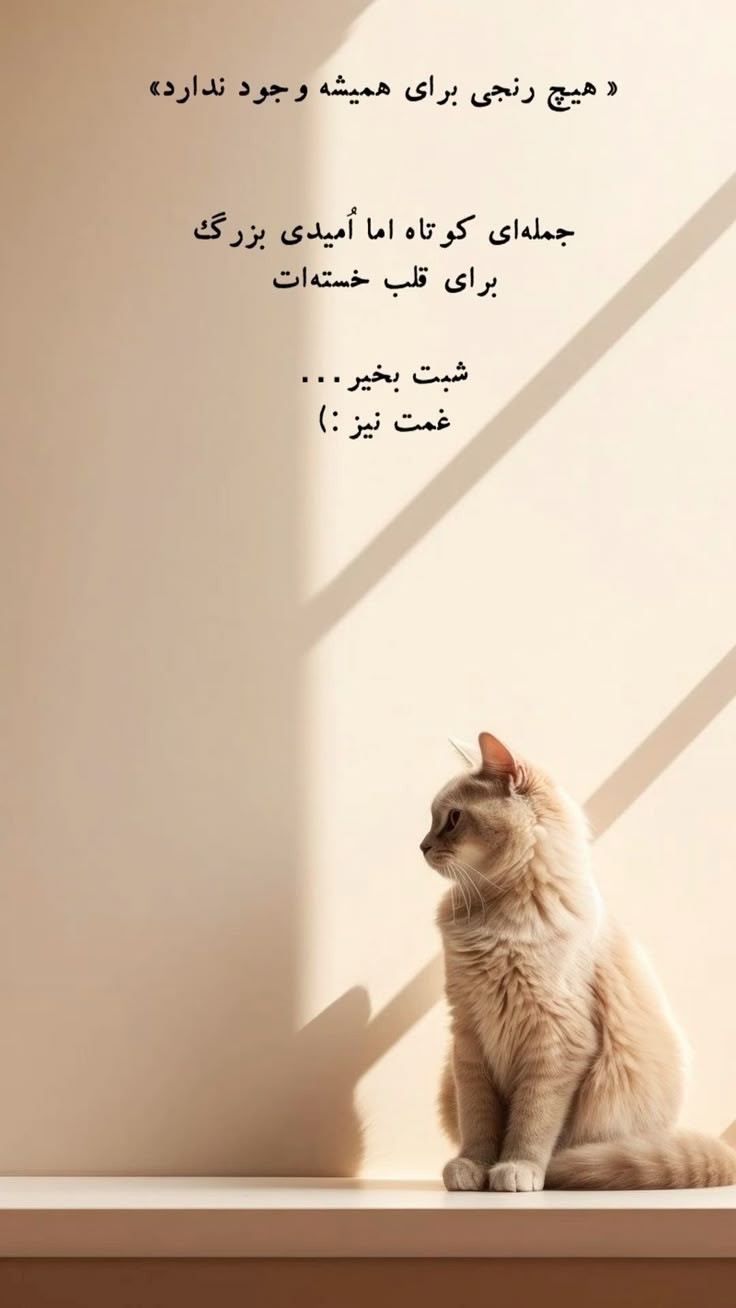 شب بخیر37