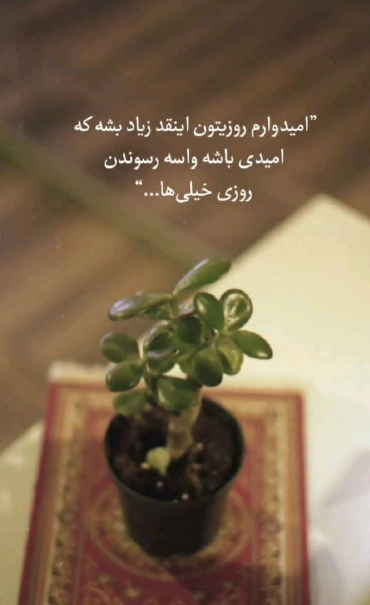 انگیزشی209