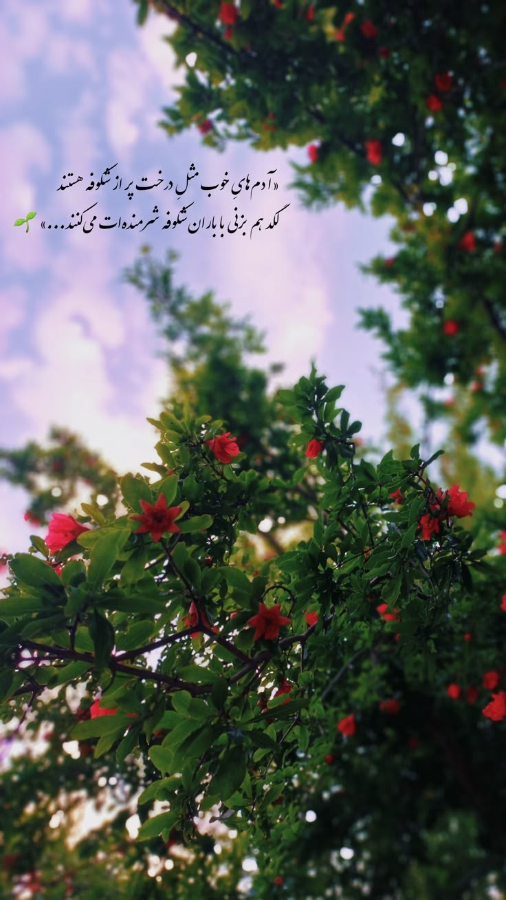 انگیزشی221