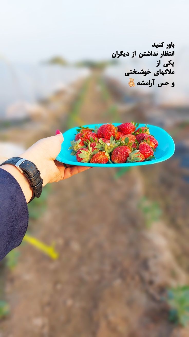 انگیزشی186