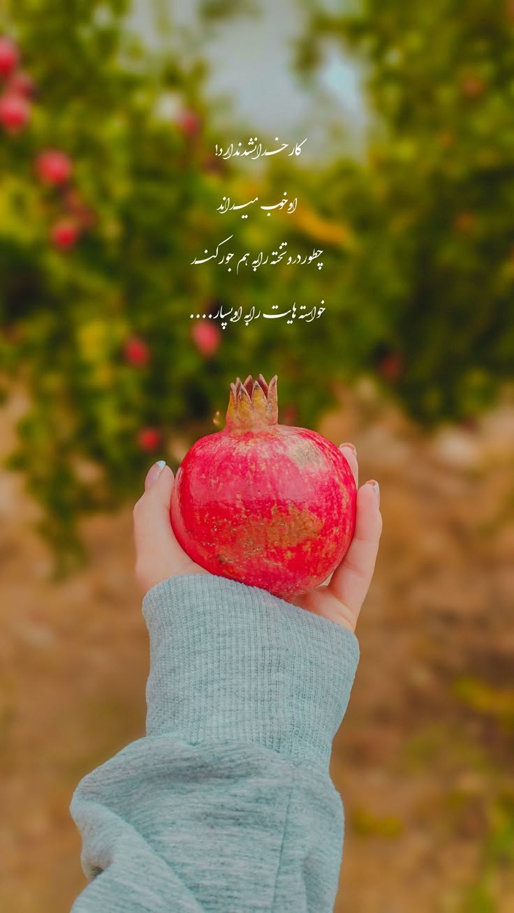 انگیزشی195
