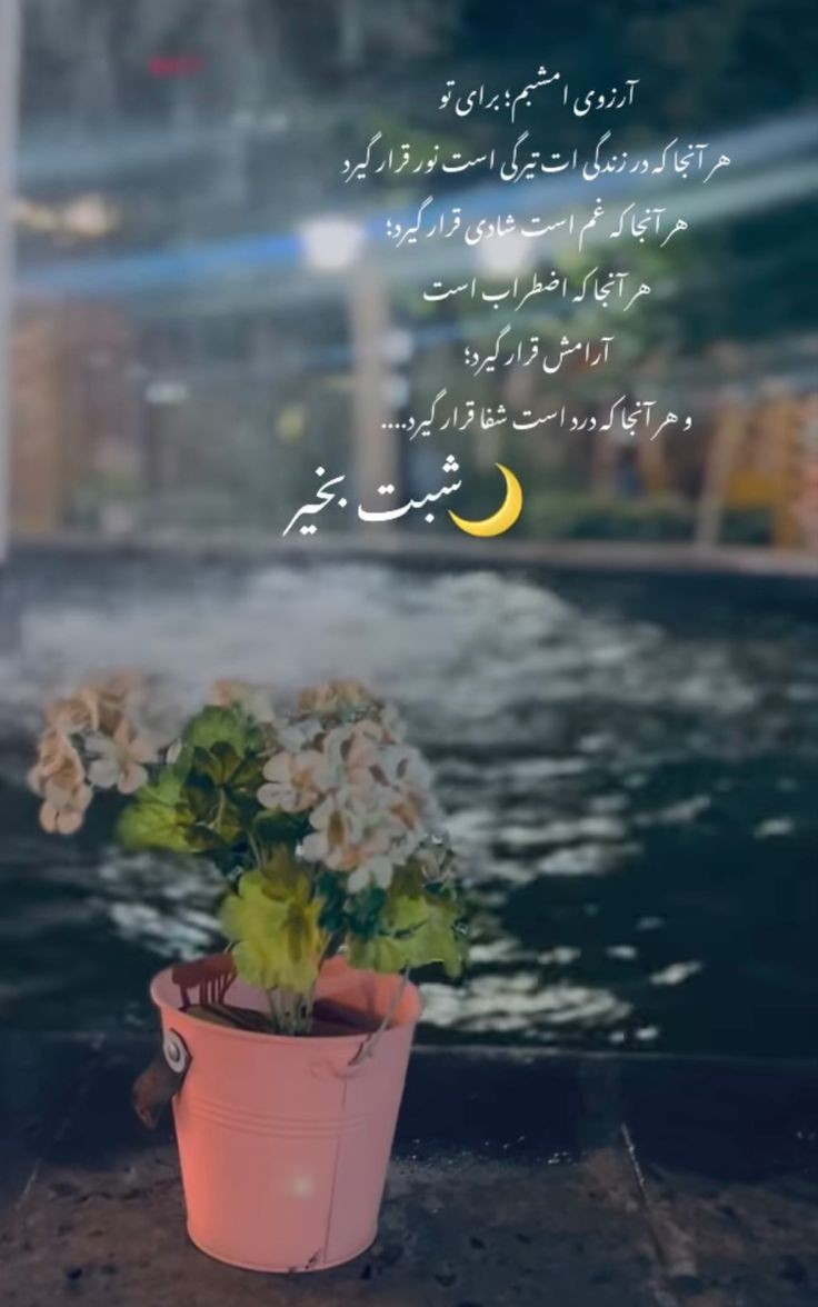 شب بخیر66