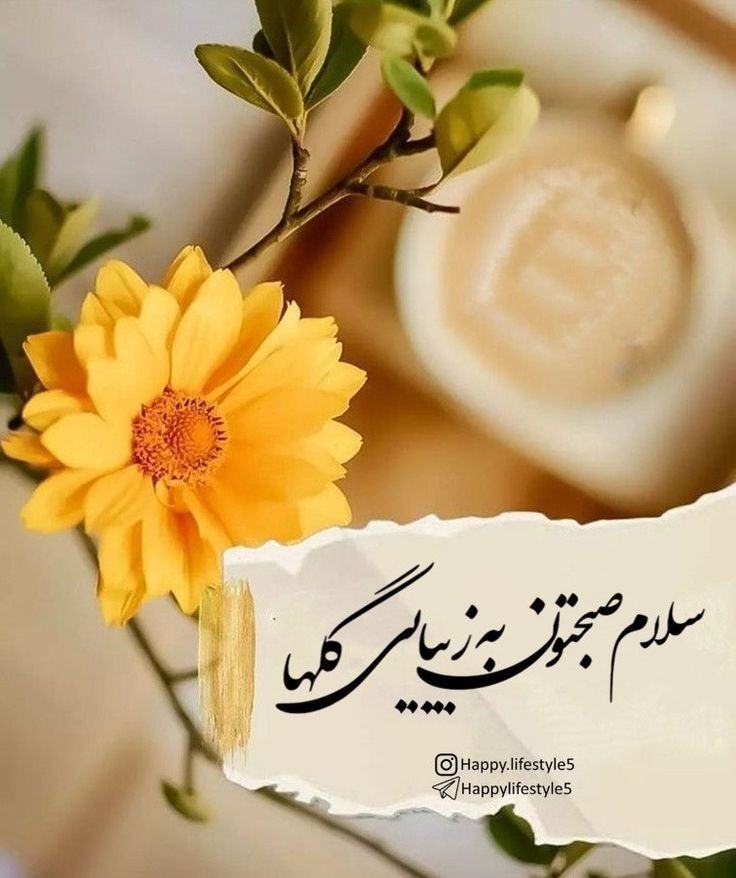صبح بخیر259