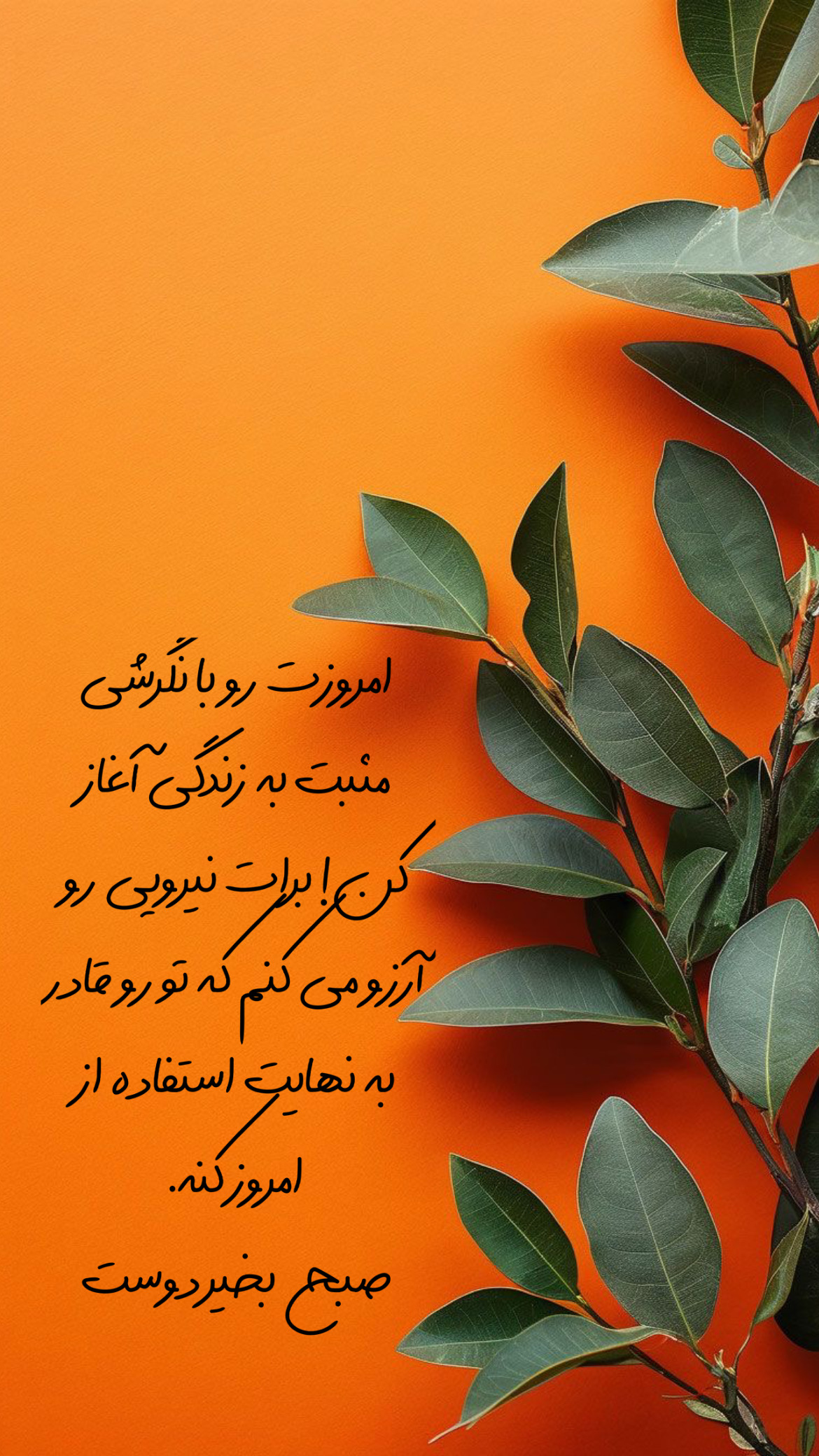 صبح بخیر286