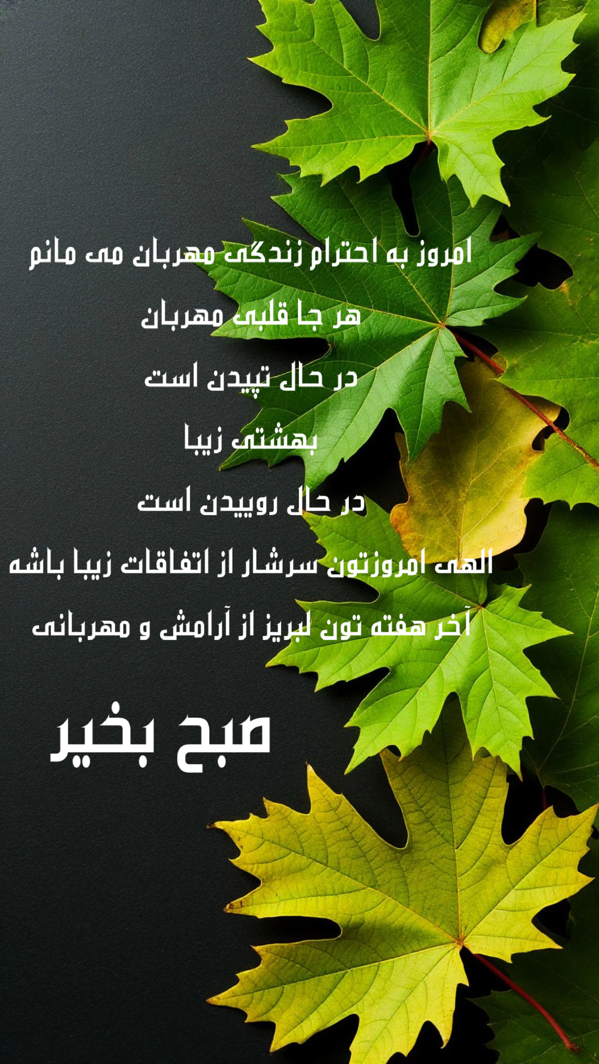 صبح بخیر285